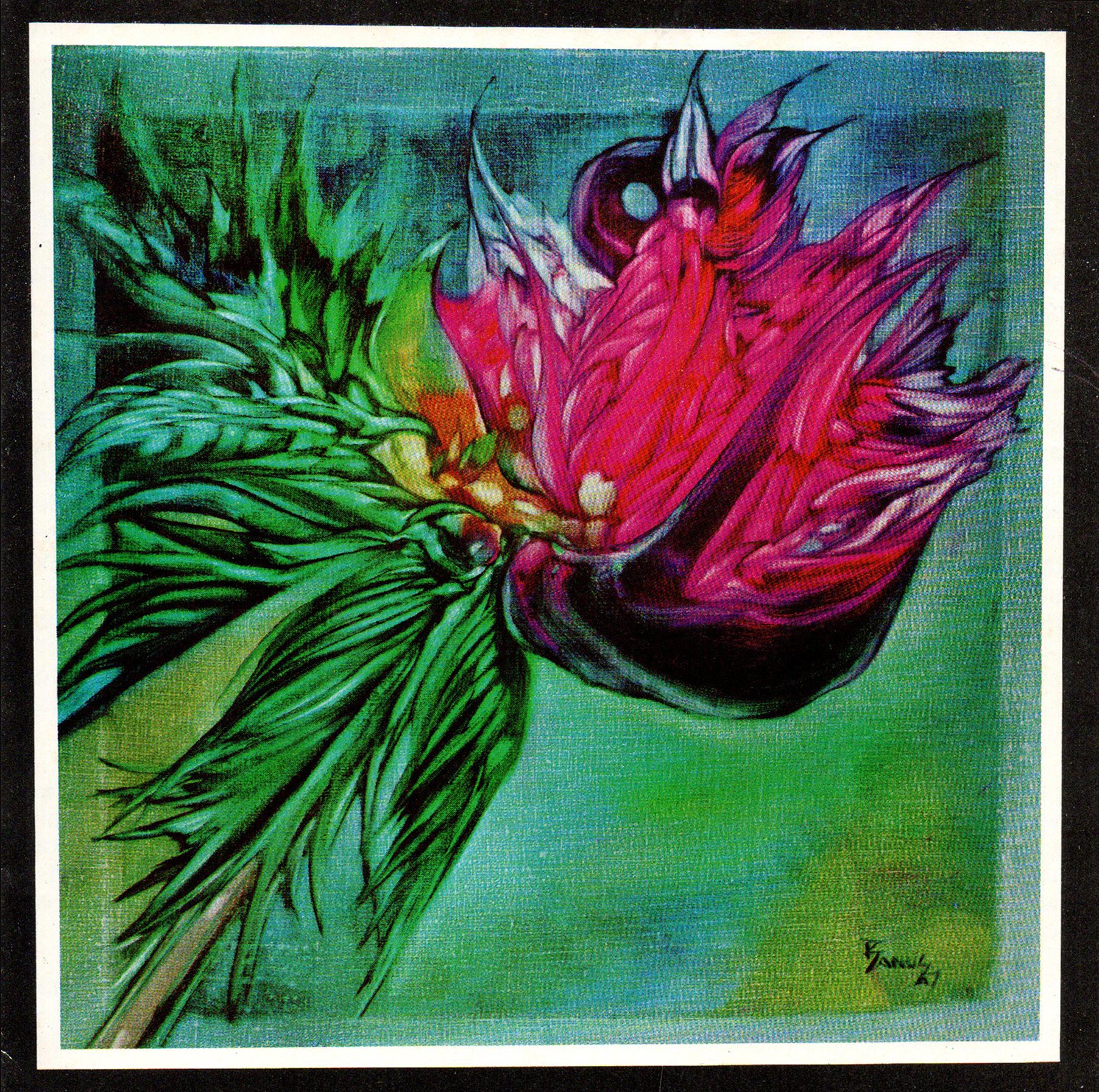 Invitación o fotografía: Galería Visual, 1987